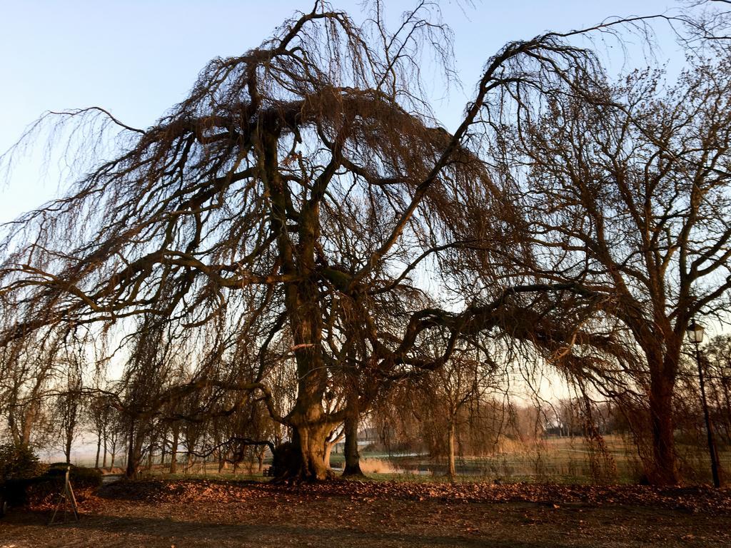 Boerderij Welgelegen Hotel Harich Buitenkant foto